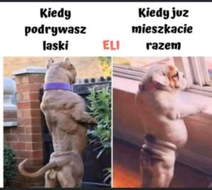 Singiel Vs. Żonaty
