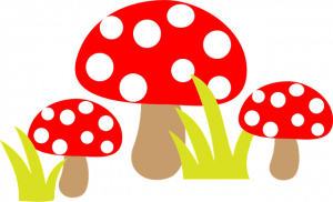 toadstool