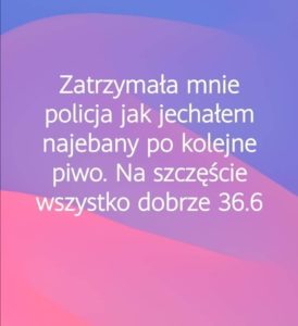90749809 2548915992049179 4520945823458000896 o