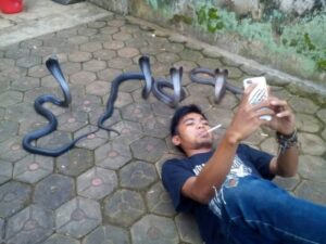 1595361018 4339gm207g