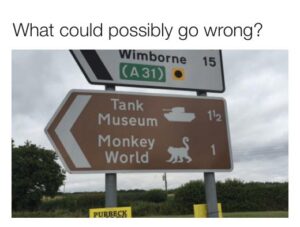 120092204 4653200398026980 957514936350209811 n