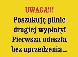 Wtorkowa Wrzutka Humoru (14 głupich żartów)