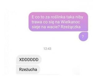 Świąteczna Rzeżączka