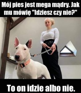 Idziesz Czy Nie Idziesz