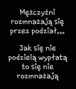 Rozmnażanie Przez Podział