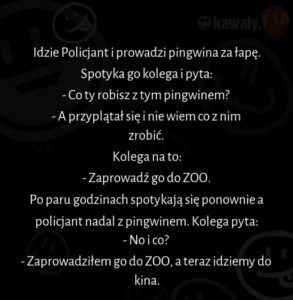 Teraz Idziemy Do Kina