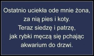 Piątkowa Wrzutka Humoru (21 głupich żartów)