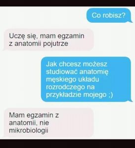 Wtorkowa Wrzutka Humoru (42 głupie żarty)