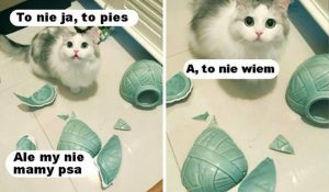 Sobotnia Wrzutka Humoru (19 głupich żartów)