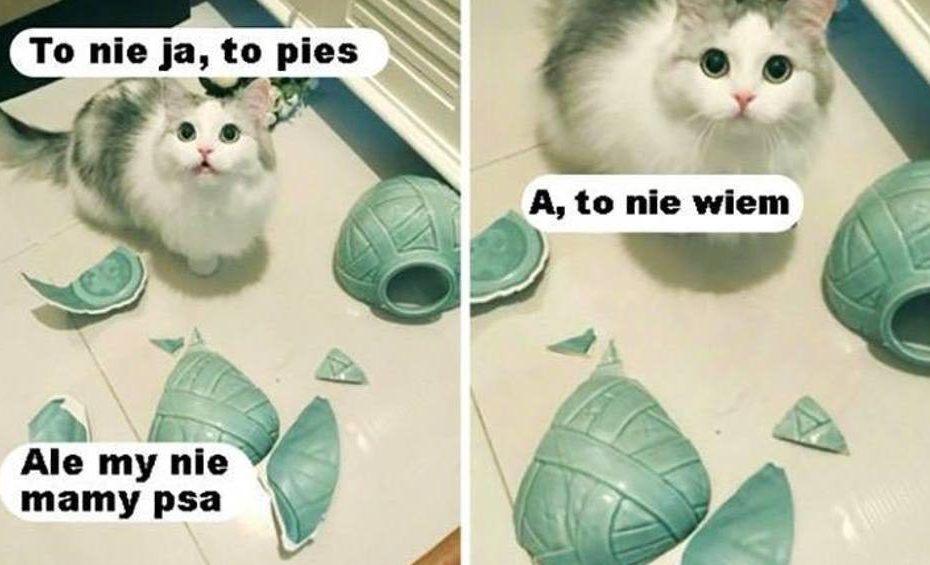 Sobotnia Wrzutka Humoru (19 głupich żartów)