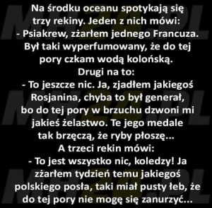Środowa Wrzutka Humoru ( 25 nowe żarty)