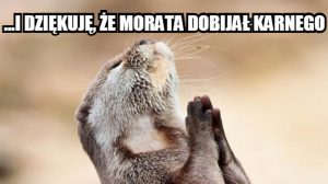 22 Najlepsze Żarty I Memy O Meczu Polska-Hiszpania