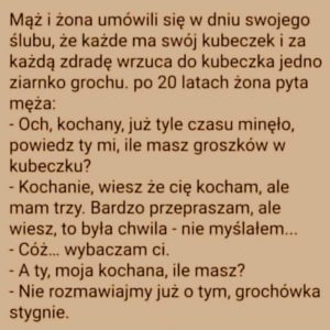 Ugotowane Dowody Niewierności
