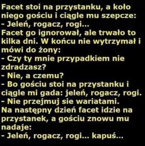 Jeleń Rogacz Kapuś