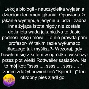 Kot Jąkała