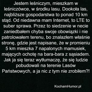 Mamuśki Z Okolicy