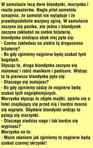 Blondynki W Samolocie