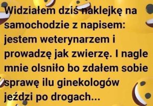 Ginekolog Na Drodze