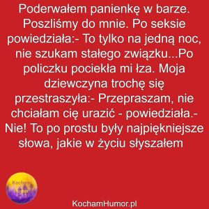 Przygoda Na Jedną Noc