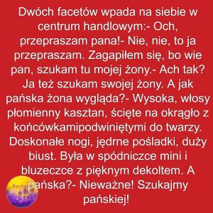 Wstydliwy Rysopis Żony