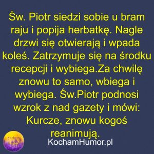 Niebiańska Reanimacja