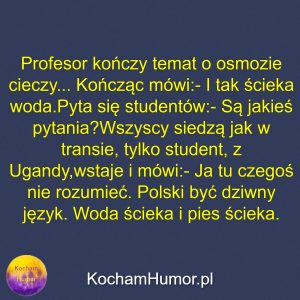 Woda Ścieka I Pies Ścieka