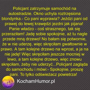 Blondynka Na Autostradzie