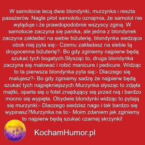 Dwie Blondynki W Samolocie