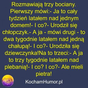 Długi Lot Nad Plebanią