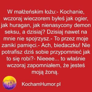 Małżeński Zanik Pamięci