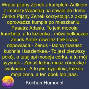 Biolokacja Zenka