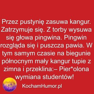 Wymiana Studentów