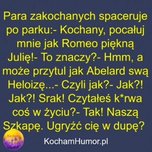 Nasza Szkapa