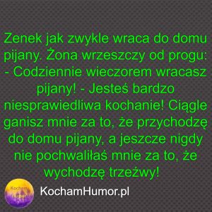Trzeźwy Jak Świnia
