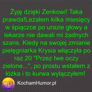 Terapia Muzyką Zenka