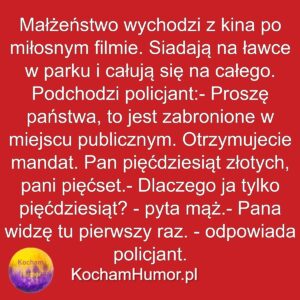 Nowicjusz