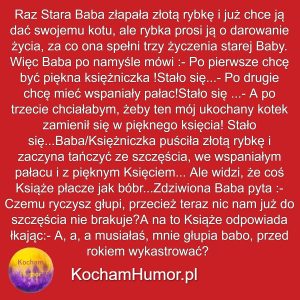 O Kotku To Bajka