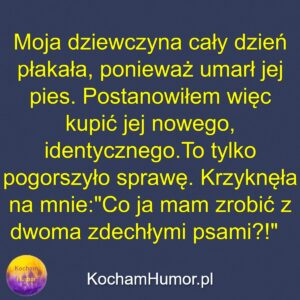 Pieski Małe Dwa