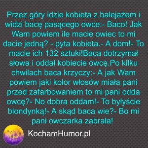 Blond Owca I Owczarek