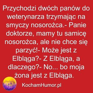 Kochamhumor.pl 01 4 12 1