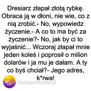 Kochamhumor.pl 06 1 2