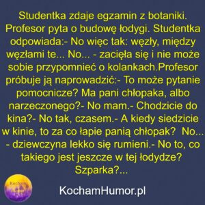 Kochamhumor.pl 04 3 13
