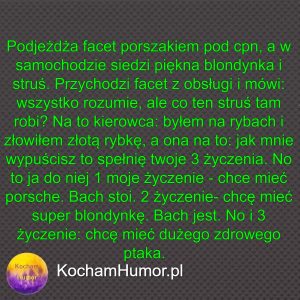 Kochamhumor.pl 07 1 8 1
