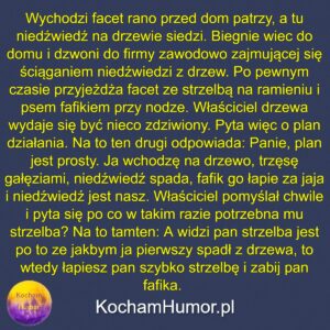 Kochamhumor.pl 04 3 13