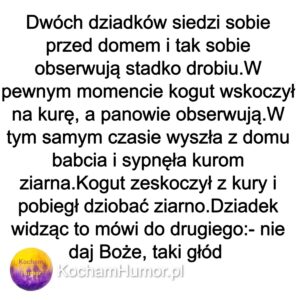 Kochamhumor.pl 06 1 2