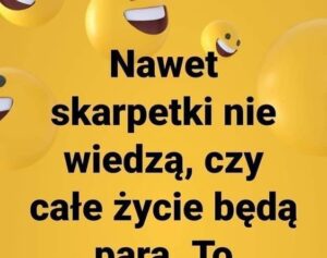 957bd0ba5cf6a17c21a751e2999666e5