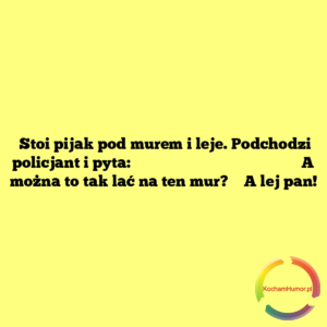 A lej pan