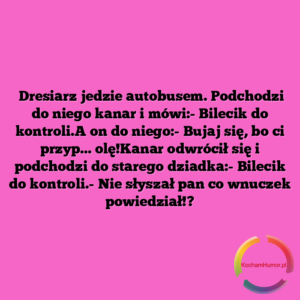 Bilecik Do Kontroli