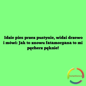 Fatamorgana