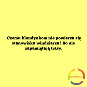 Nie zapamięta trasy
